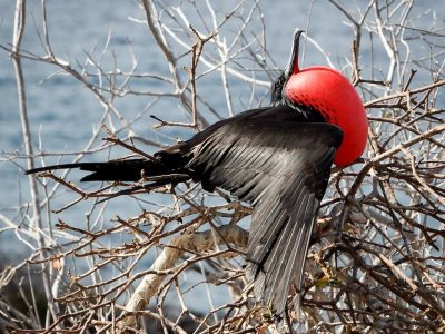 aussieactive-jE7ISeKwvP0-unsplash_WEB