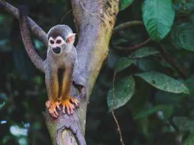 diego-guzman-u_4bPYOXujE-unsplash_WEB